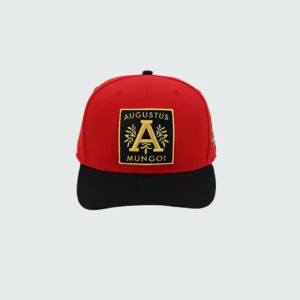 Helsinki, by Augustus Mungoi